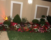DSC00176